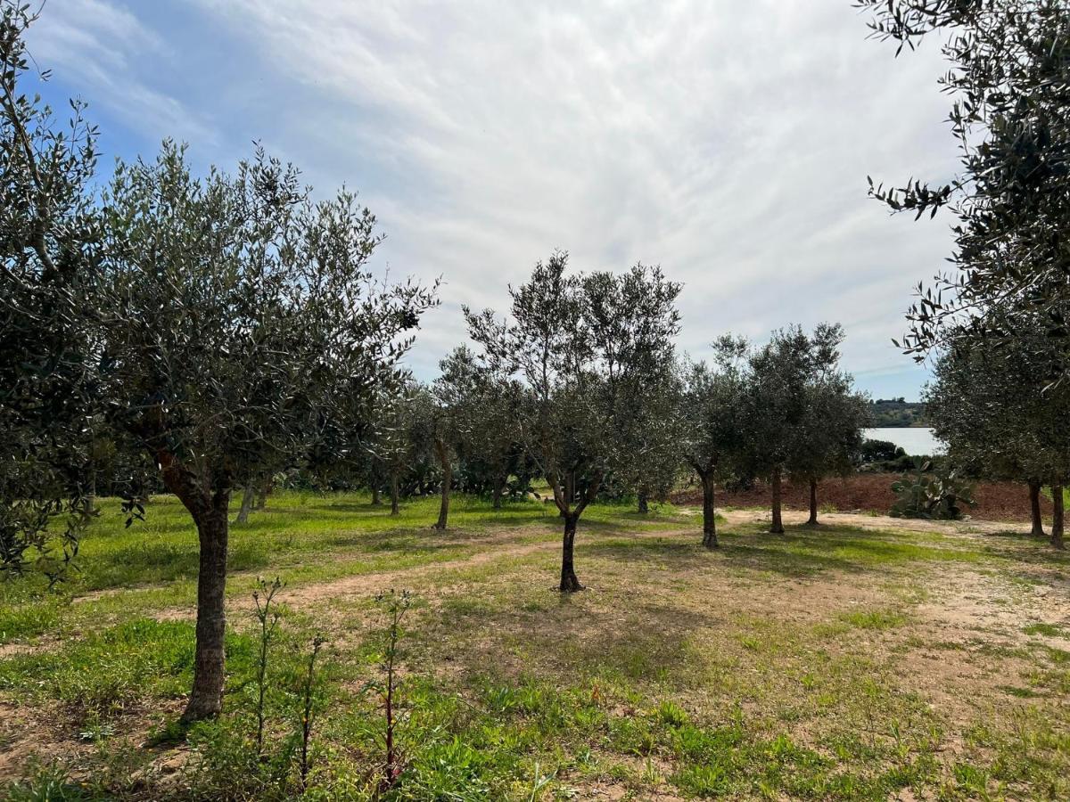 Perla D'oriente -