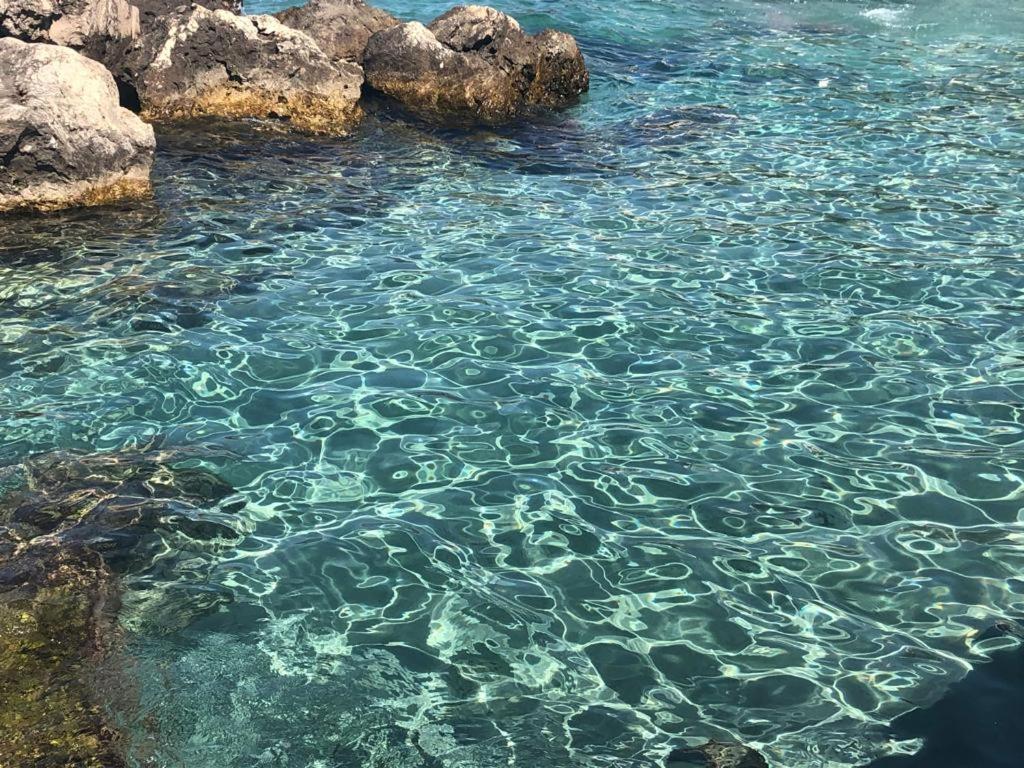 Perla D'oriente -